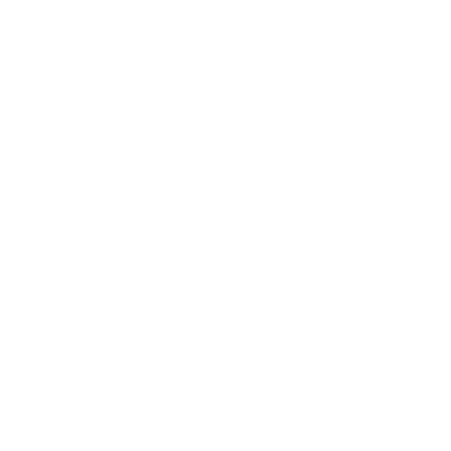 SOC2 Audited